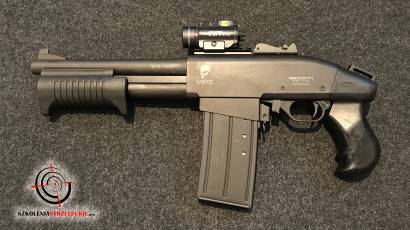 SDM